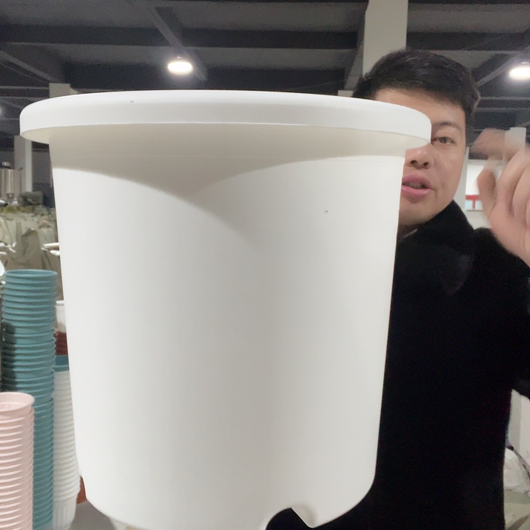 树脂圆7号白2个无托