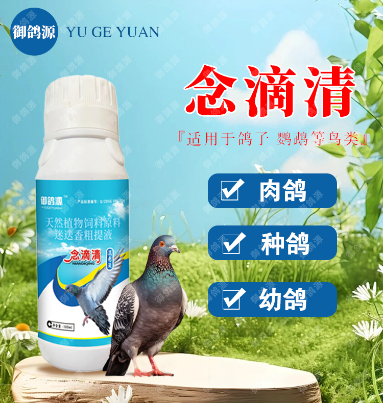 鸽子毛滴虫念珠菌鸽鹦鹉专用鸽霉菌真菌呼吸道口腔白点口黄鸽子
