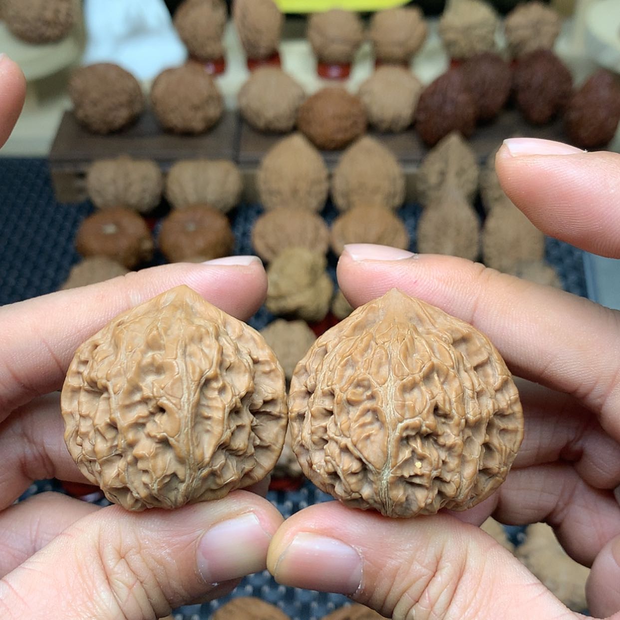 【闪购商品】文玩核桃把件全品水龙纹狮子头41文玩核桃