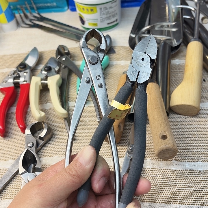 巨恒不锈钢中号球1福冈1