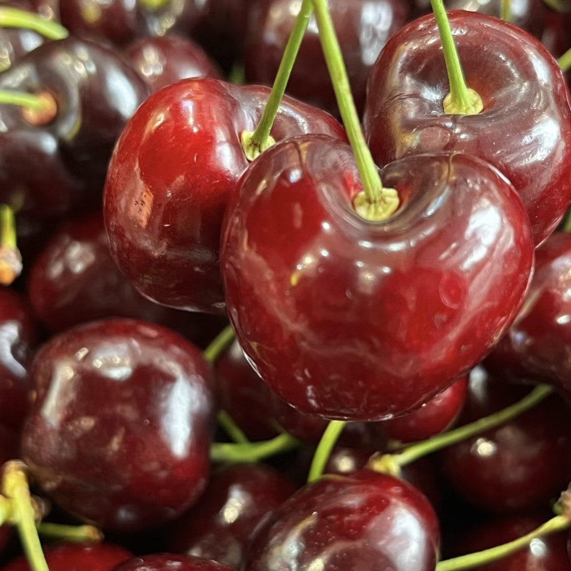 【海运车厘子】智利进口车厘子1KG-2.5KG J-2JD脆甜口智利