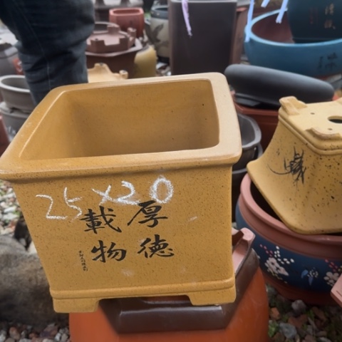 紫砂花盆花盆盆景盆栽