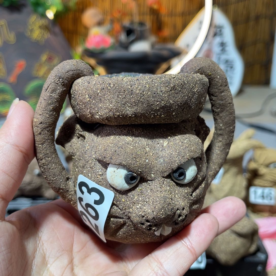 木村信弘柴烧保平