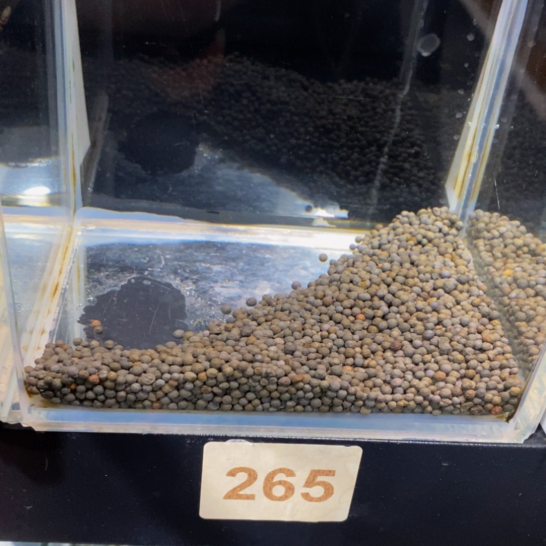 用***我斗鱼265巨斗111111