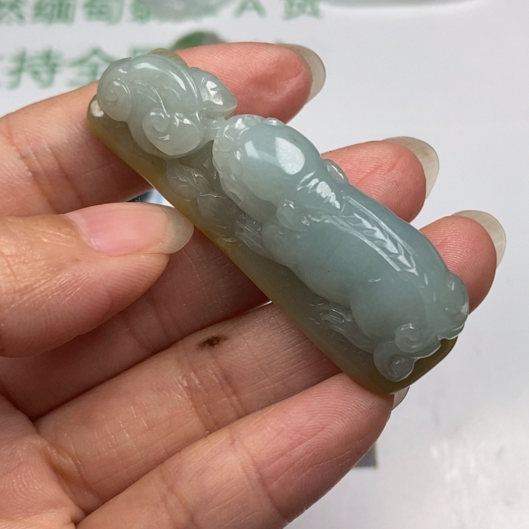 S***A翡翠未镶嵌颈饰翡翠