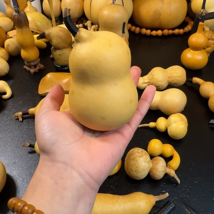 渣***白葫芦22222222222222