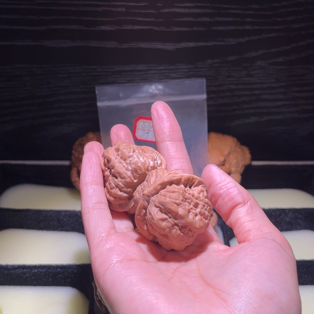 S****大叶紫檀（黑酸枝木类）蛤蟆