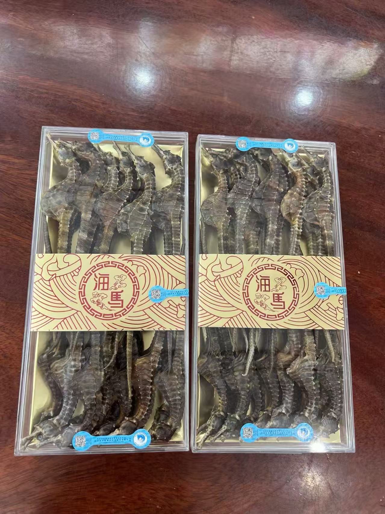 精选优质海马干可煲汤泡酒的滋补干货
