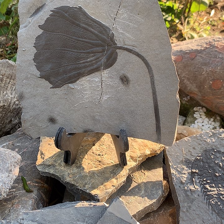 石材贵州石头工艺品摆件