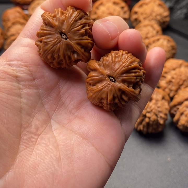 文玩核桃把件31尺野狮子王野核