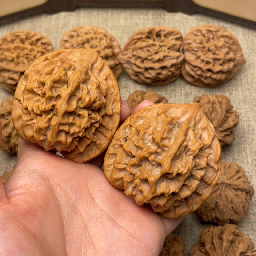 灬***灬核桃秦岭核桃27号