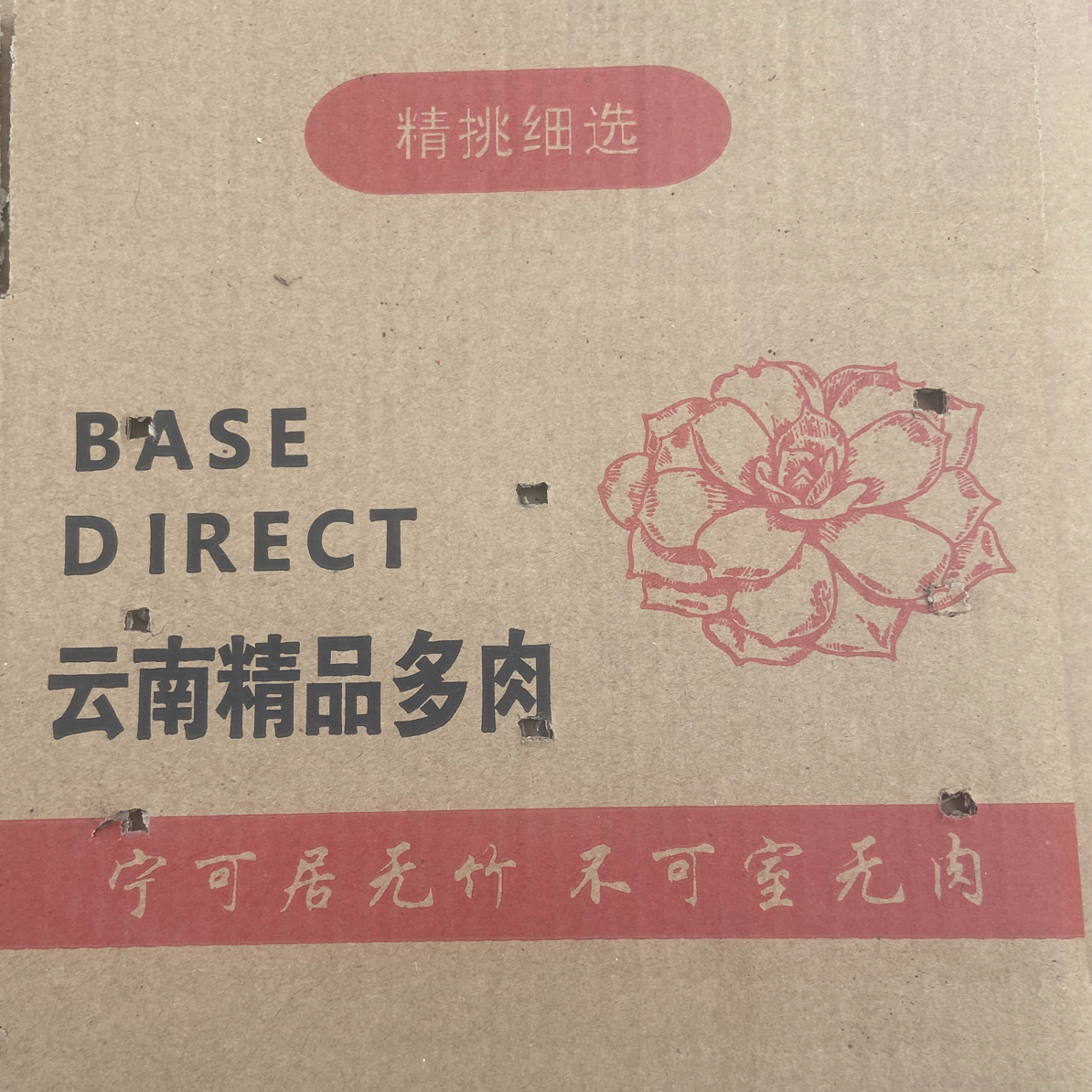 2号链接一物一拍，精品多肉满38包邮