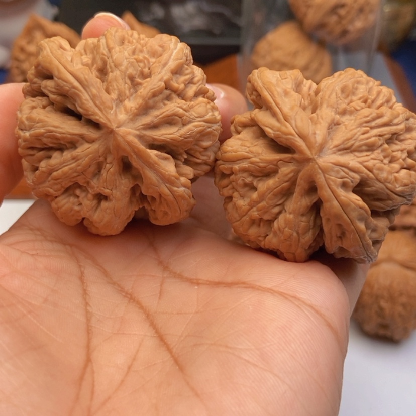 【闪购商品】文玩核桃把件47粗筋