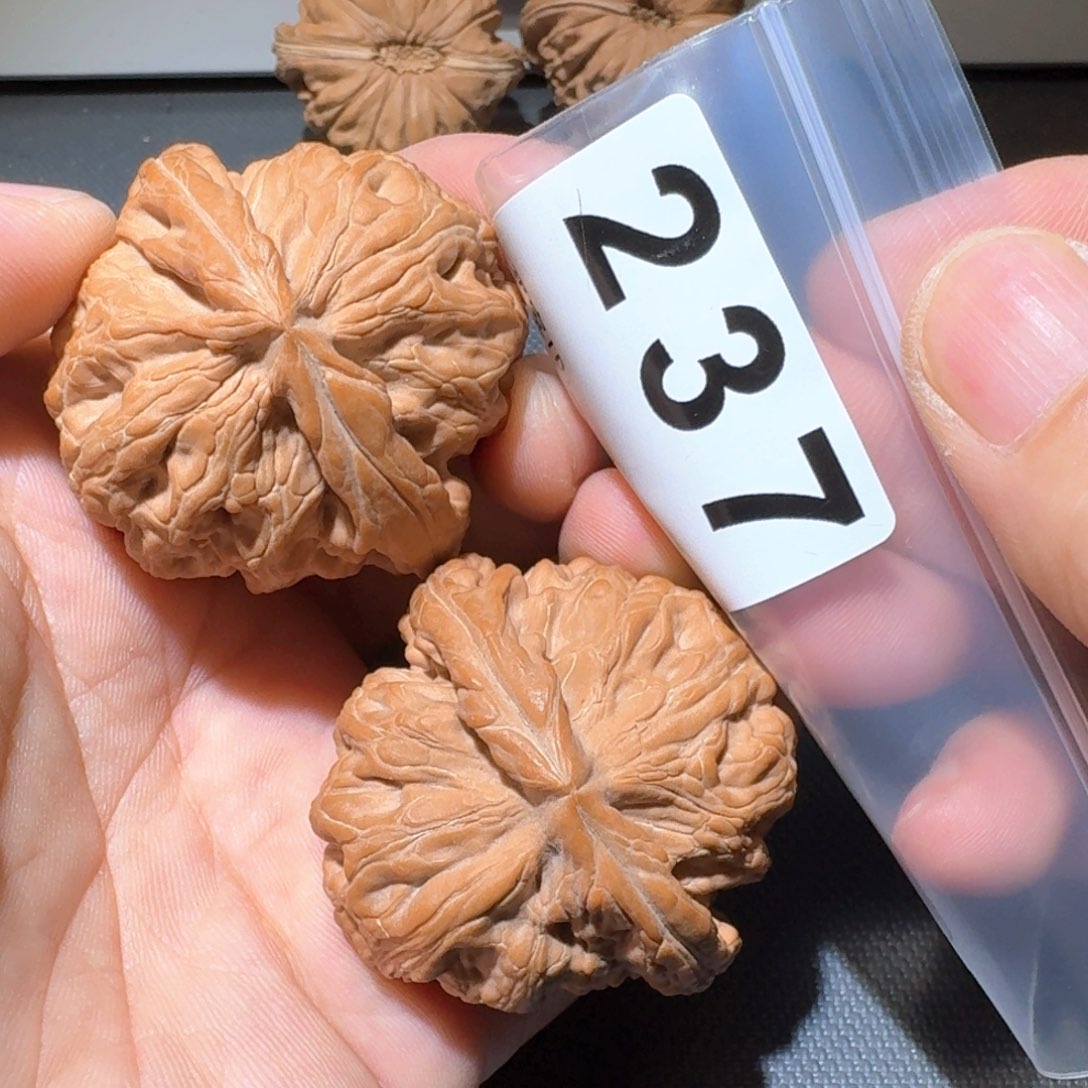 布***王把件文玩核桃锦鲤45