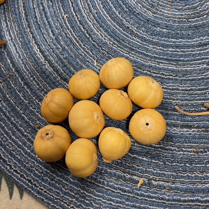 歪****430美好的一天从吃瓜开始啦羞嗒嗒