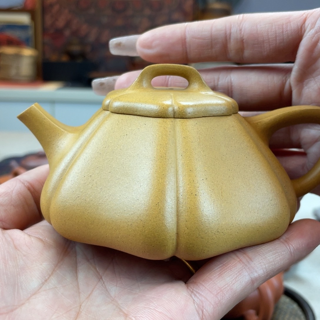 紫砂茶壶杨*强大美小美放福利喽