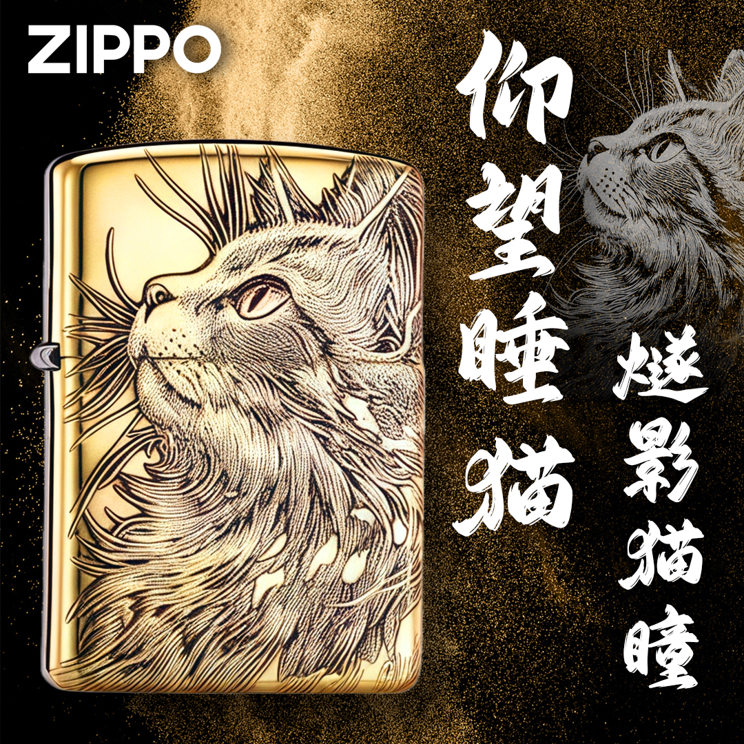 ZIPPO/之宝仰望星空猫 鹰皇纯铜盔甲浮雕防风打火机男士个性礼物