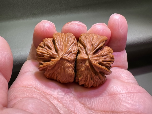 文玩核桃宫灯蛇头原配半壁蛇头异形精品指尖手把件件盘它