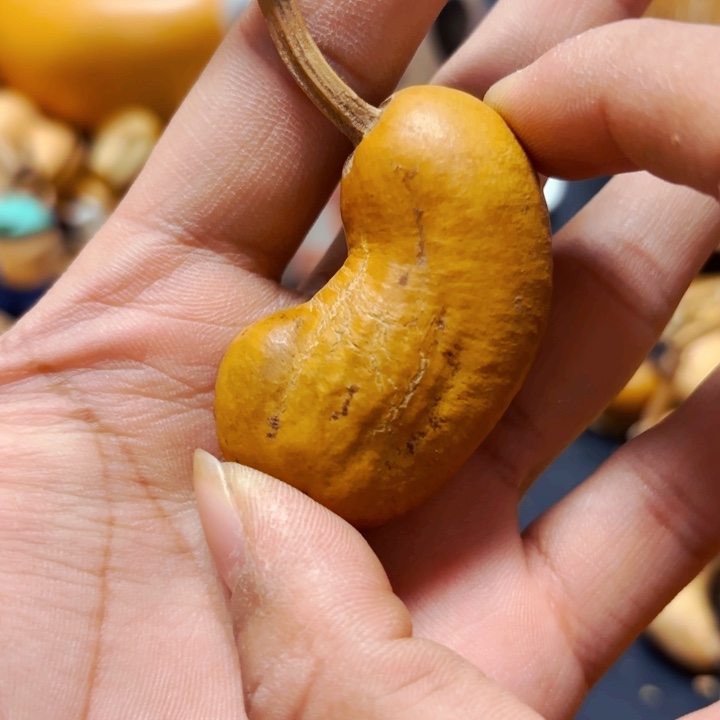 花*落8888888888888888888