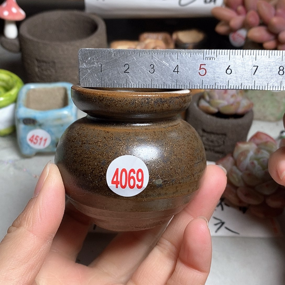 红陶拍5送一个小