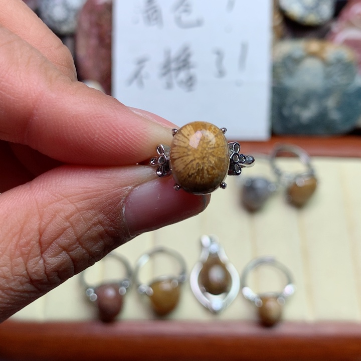 硅化珊瑚（珊瑚玉）颈饰未镶嵌