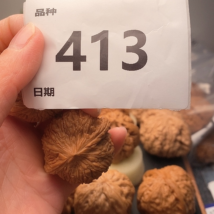 文玩核桃吊坠与****?泥鳅背413