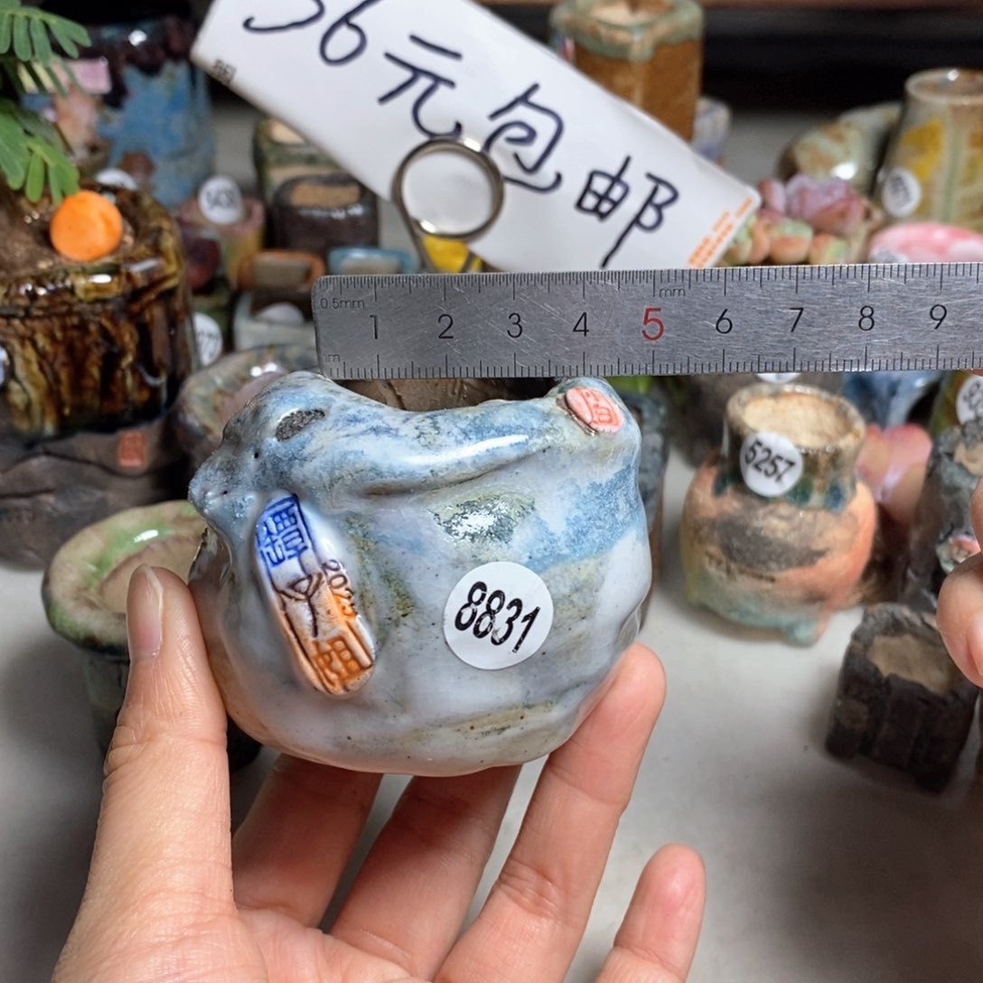 双十一活动价不退不换，默认微瑕原价68