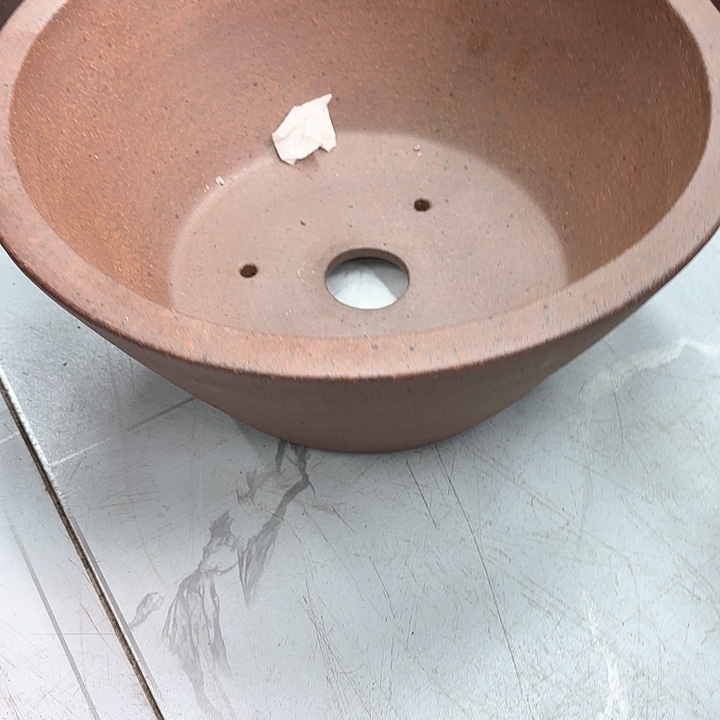 紫砂花盆鸿*紫砂的颜色很好看呀