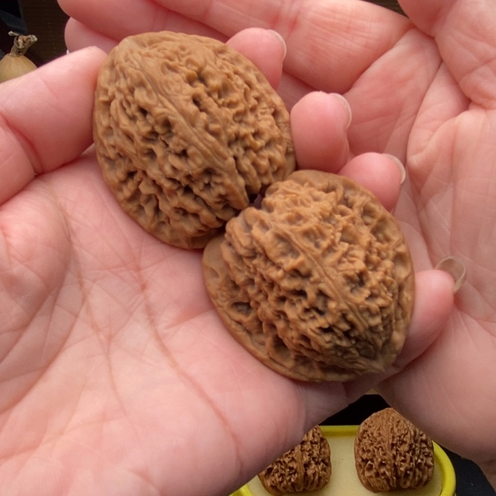 吊坠文玩核桃正三角高炮毕业404043尺