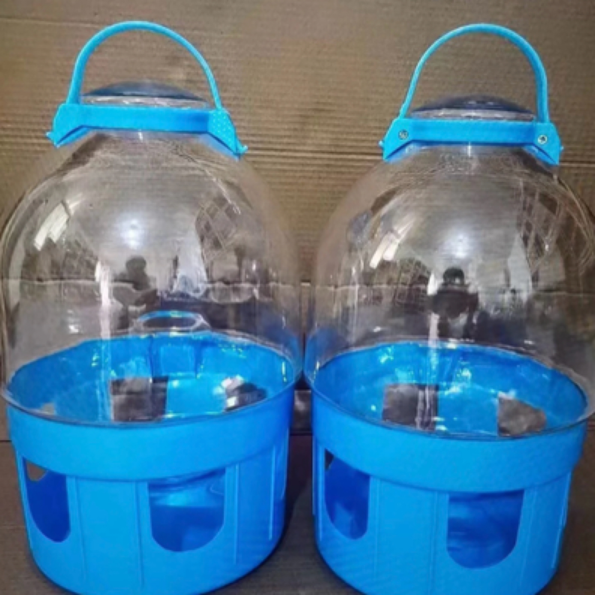 鸽子蓝色冬季透明水壶冬天工具养鸽子饮水鸽子饮水器鸽子专用喝水