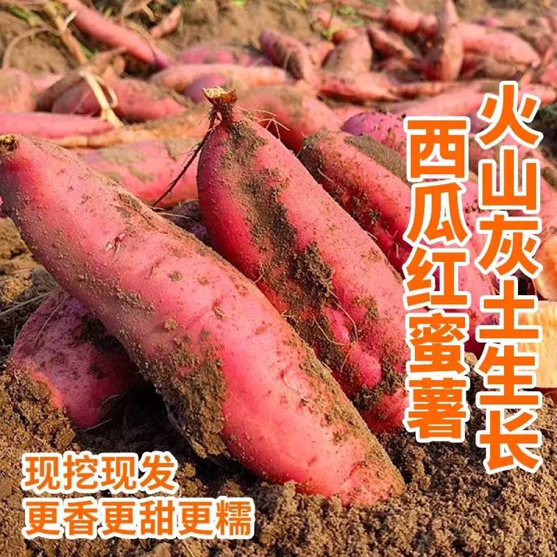 2025正宗红心蜜薯新鲜现挖软糯甘甜板栗薯地瓜番薯