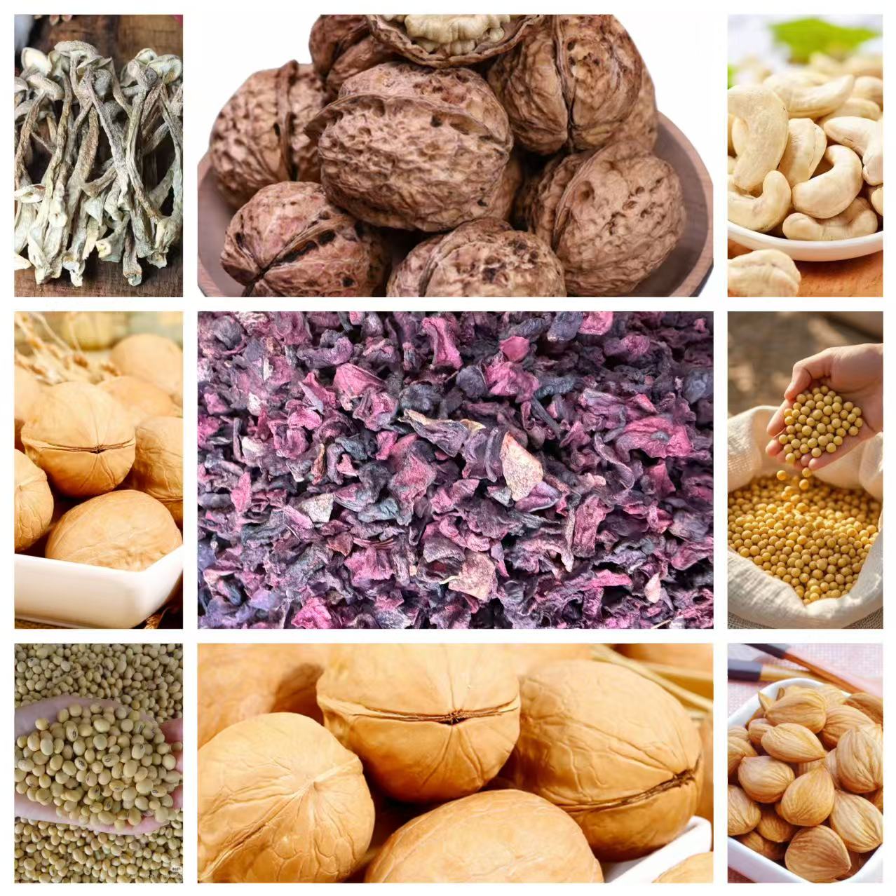 【优选深山龙】/皿/果/净含量正宗山货250g 起~ YZK