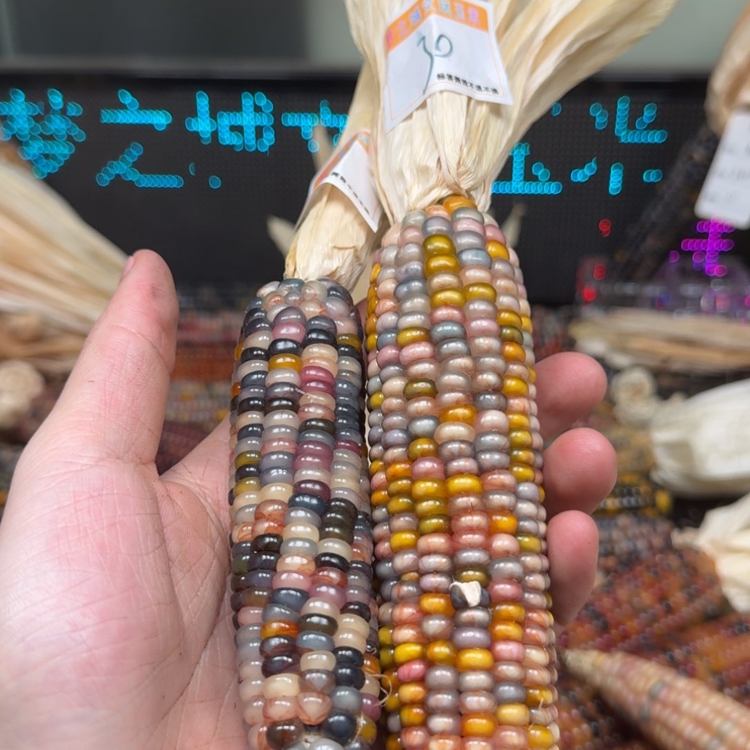 柏香籽/百香籽吊坠最****?