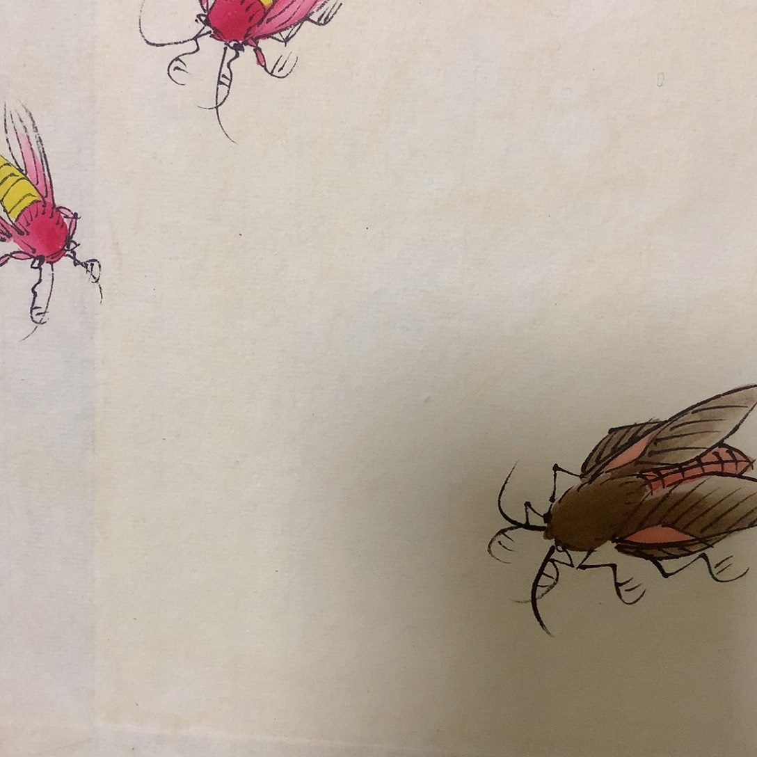 太*闪购商品闪购商品