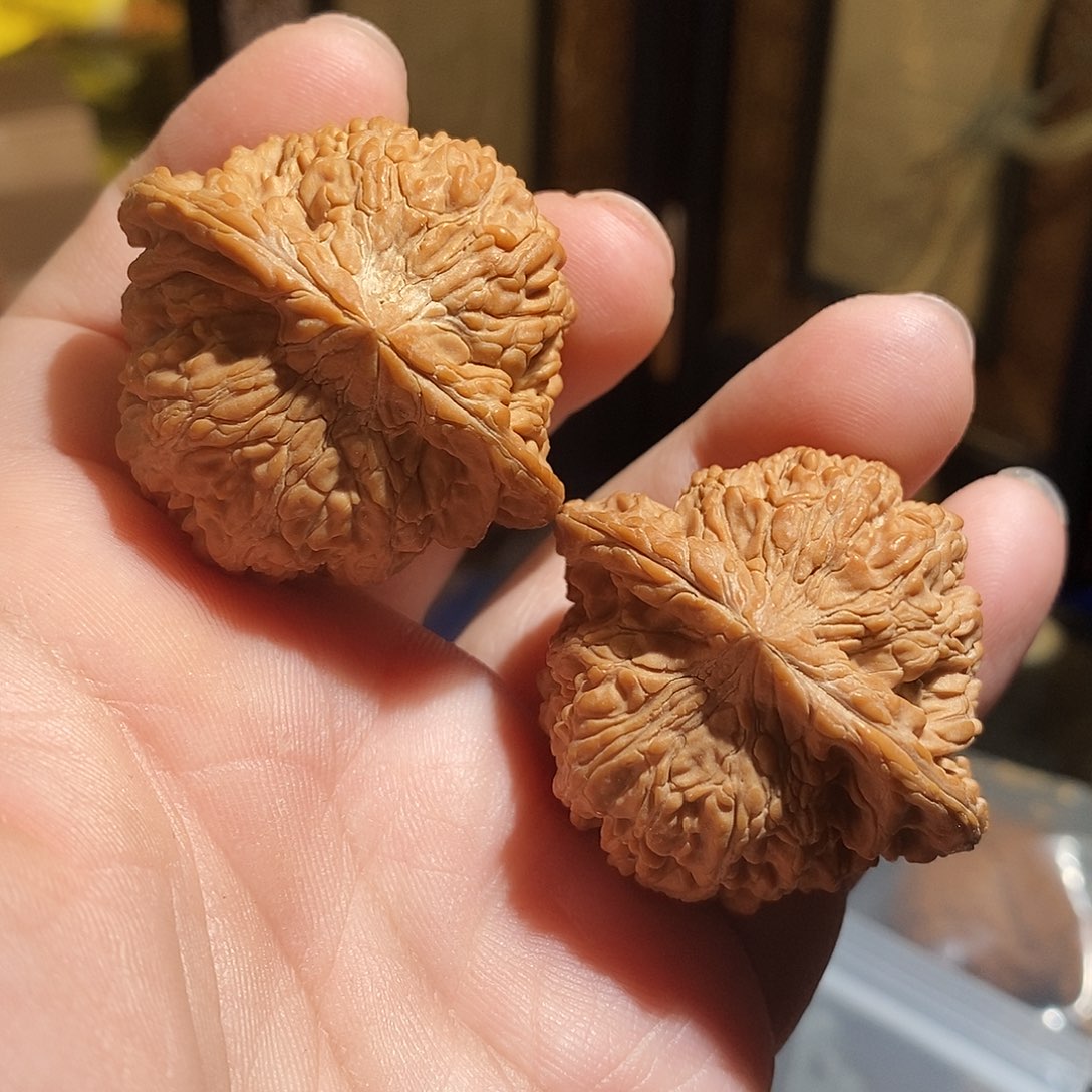 文玩核桃把件43满天星全品