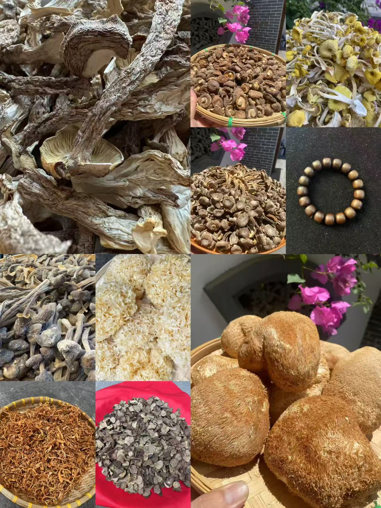 （文总专用土特产）XJ01多样性发货 重量25克左右