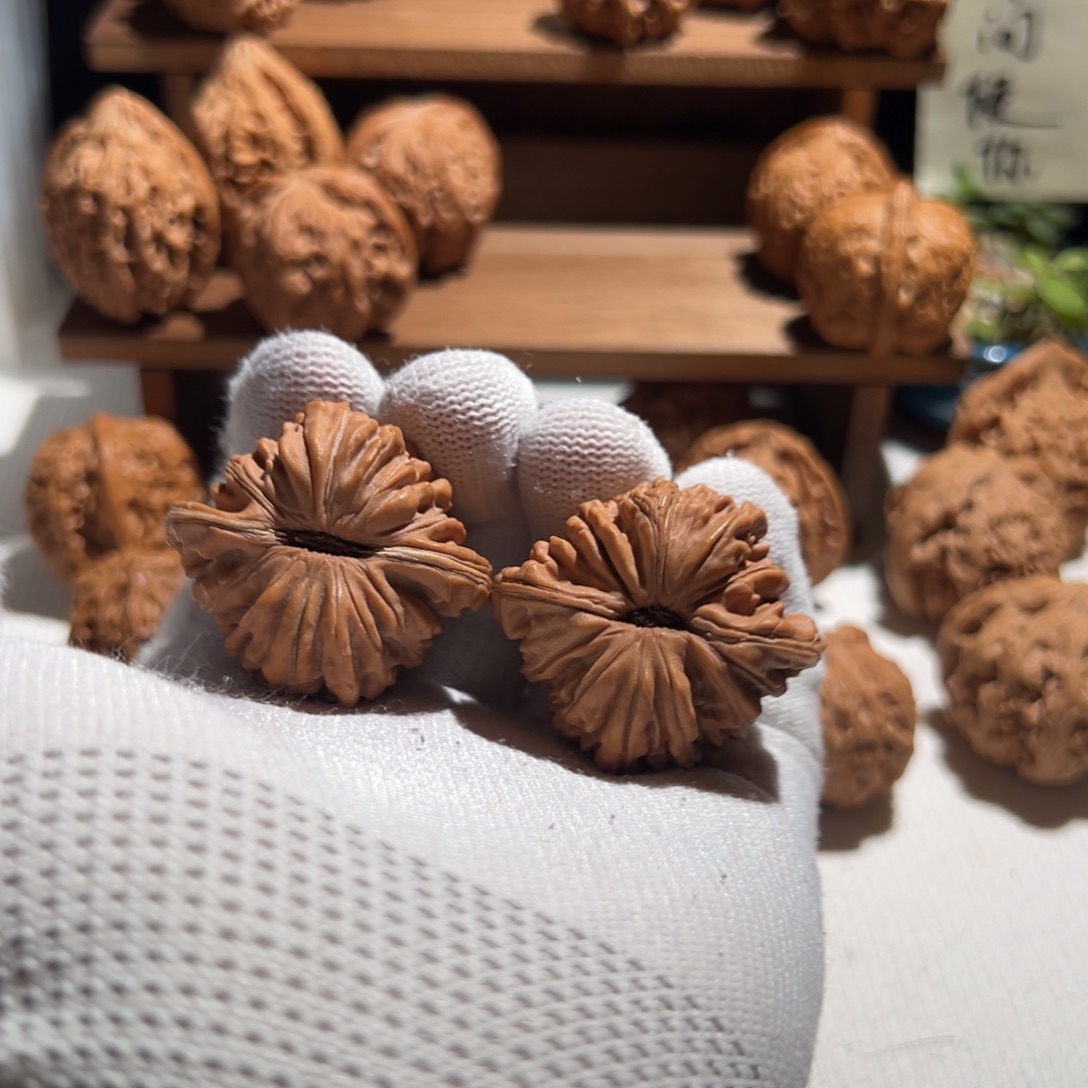 L***。核桃全品无修 41 四座楼