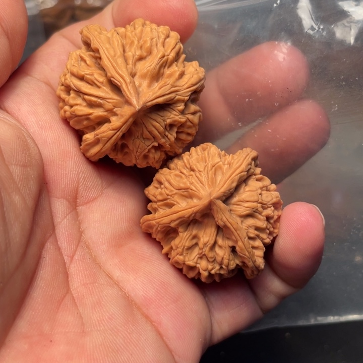 Z***吊坠猴头核桃野生三棱