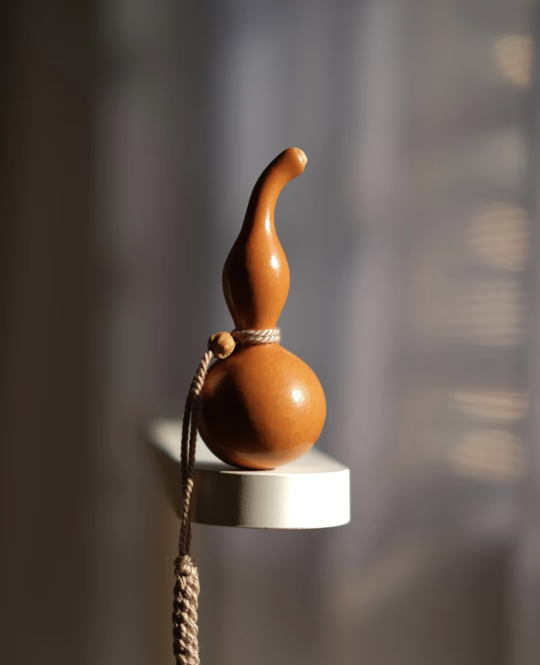 天然葫芦直播间专属4号链接