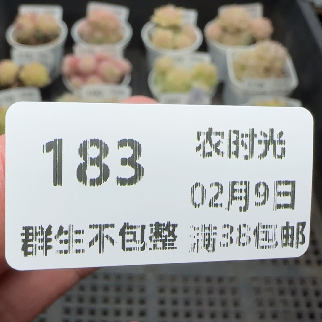 0209-183保温箱上量