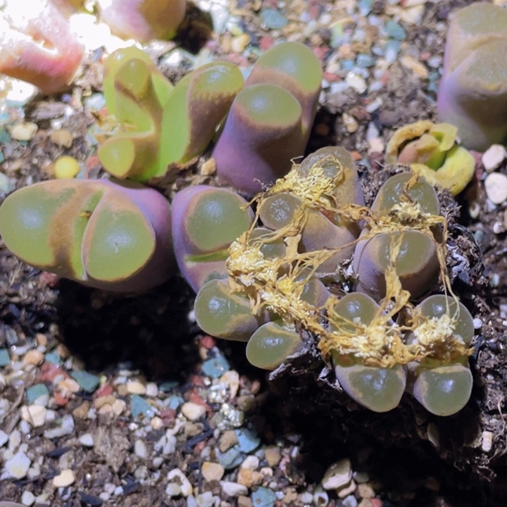 58598896598886895888