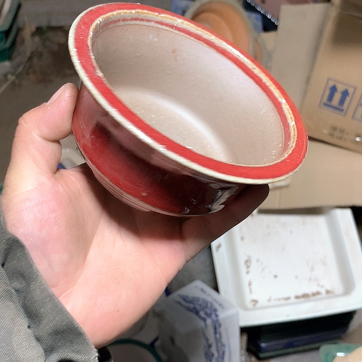 紫砂哈哈真的是太给力太火爆了