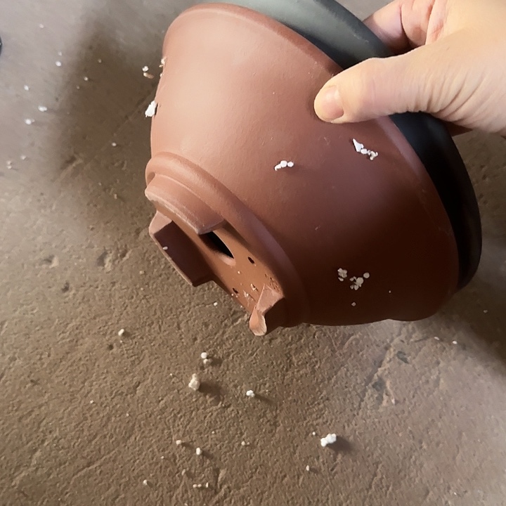 玖***铺花盆紫砂精品放漏