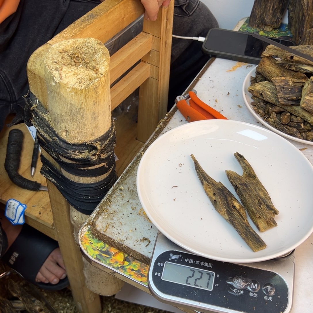 线香奇楠虫漏香22克