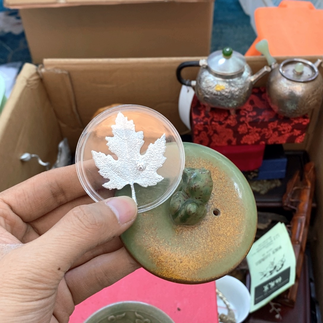 瓷片哈哈哈哈哈哈