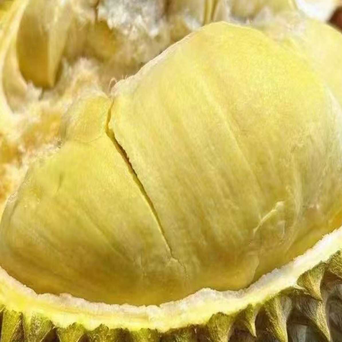 新鲜泰国树熟金枕榴莲核小纯肉一斤金枕泰国