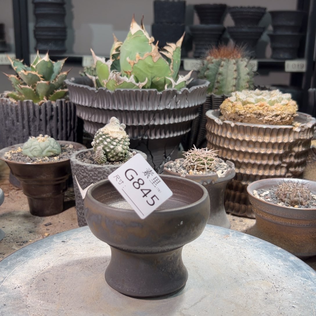 景德镇手工素里内口9高8瑕疵