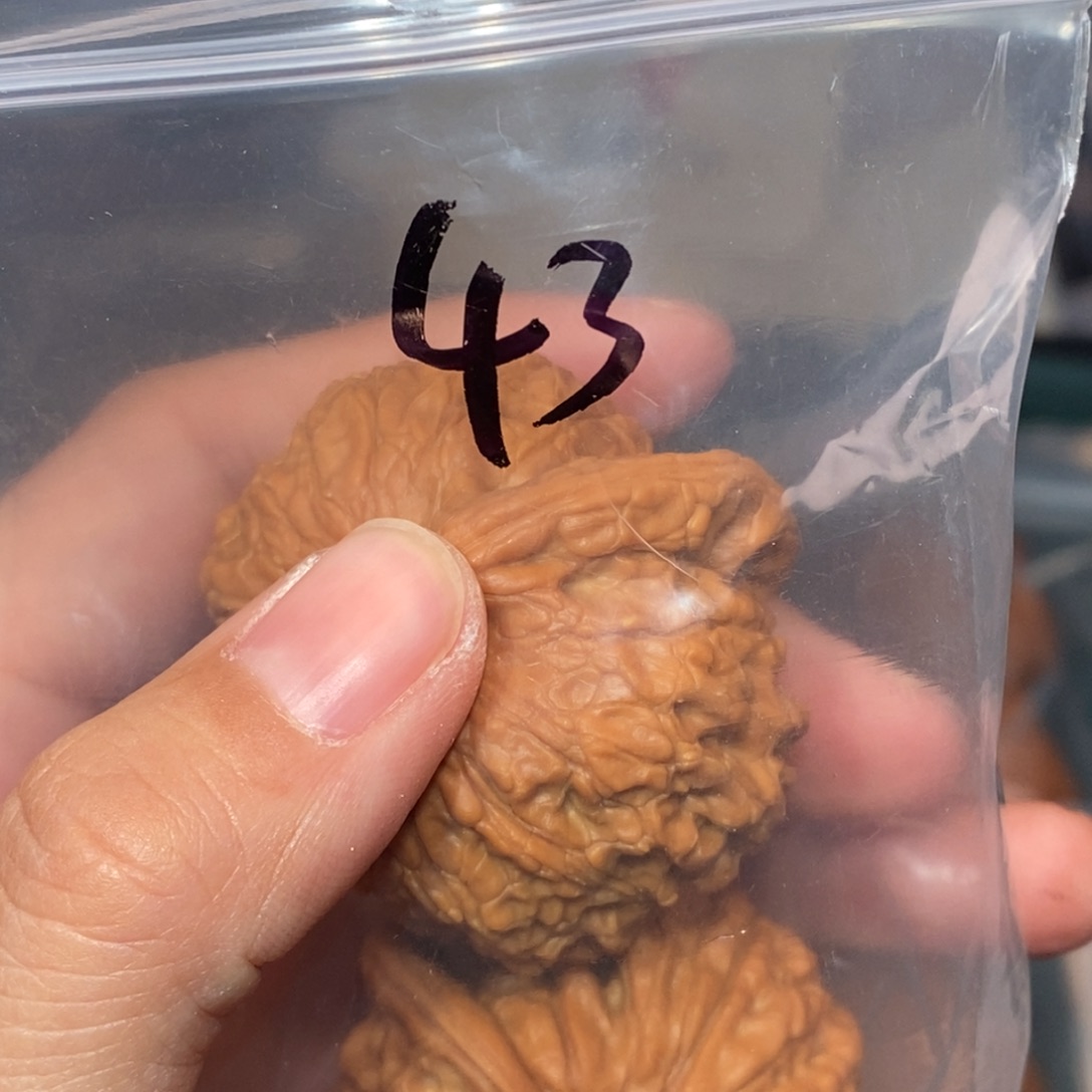 文玩核桃吊坠43血麒麟