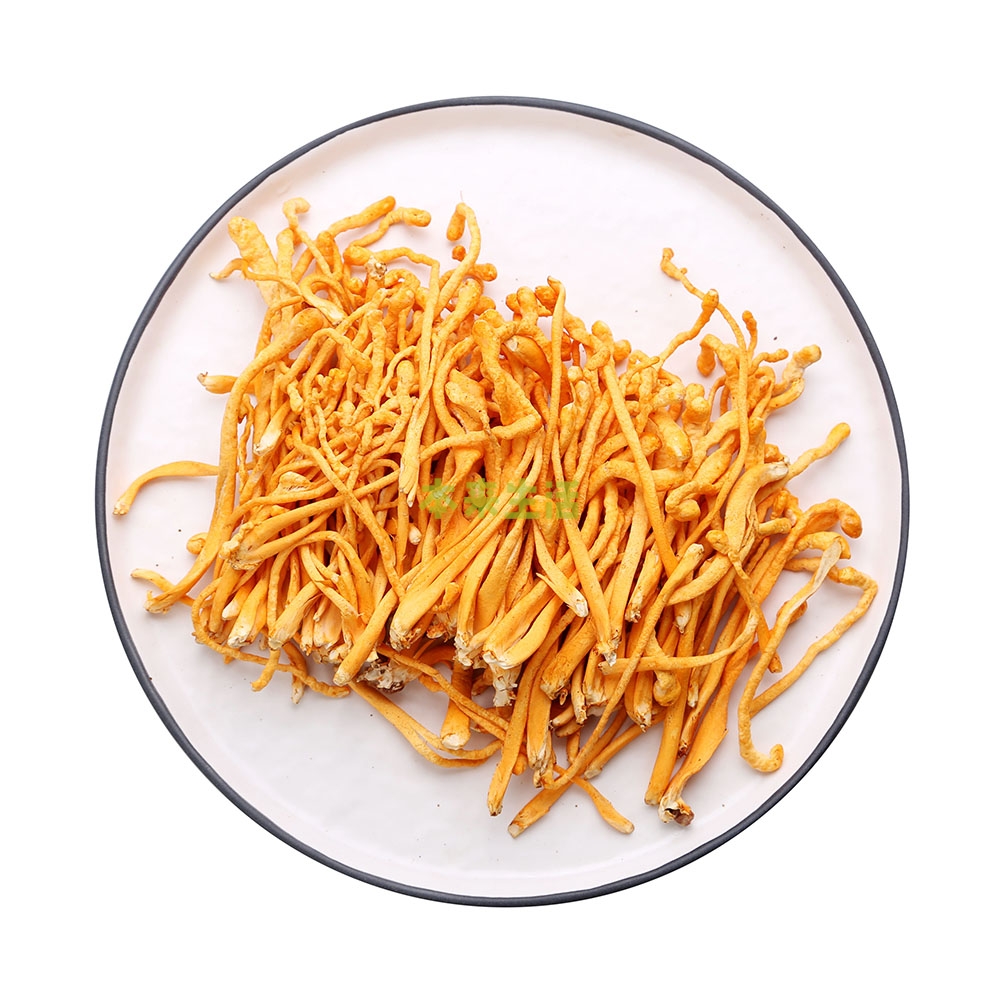虫草花 约500g/份