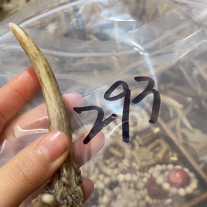 阿***明非金属鹿角鹿角鹿角